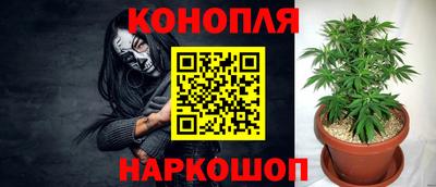 сатива Славгород