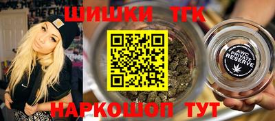сатива Славгород