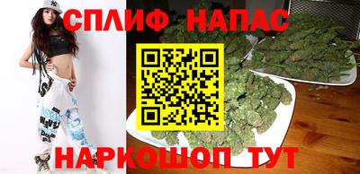 сатива Славгород
