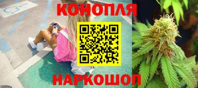 сатива Славгород