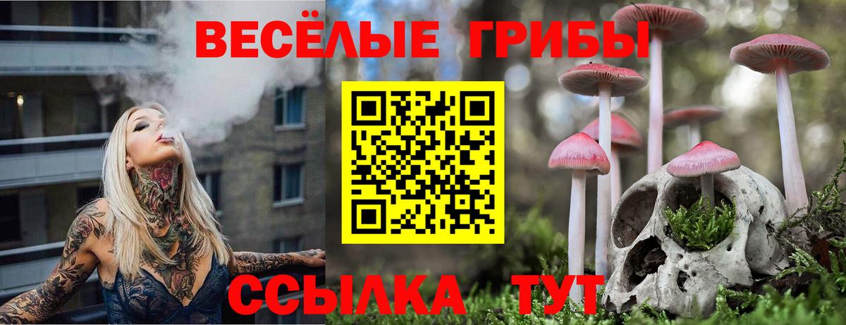Псилоцибиновые грибы прущие грибы Новотроицк